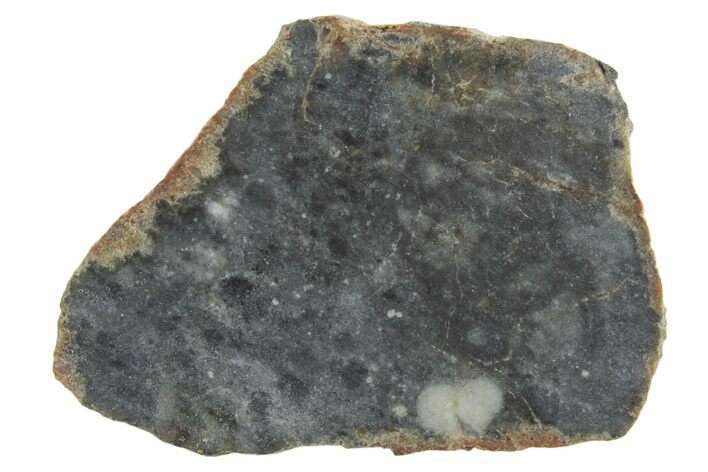 Lunar Meteorite ( g) Slice - Bechar #348172